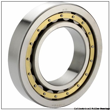 1.181 Inch | 30 Millimeter x 2.165 Inch | 55 Millimeter x 0.512 Inch | 13 Millimeter  CONSOLIDATED BEARING NU-1006 C/2  Cylindrical Roller Bearings