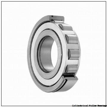 0.787 Inch | 20 Millimeter x 1.85 Inch | 47 Millimeter x 0.551 Inch | 14 Millimeter  CONSOLIDATED BEARING N-204E  Cylindrical Roller Bearings