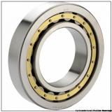 11.024 Inch | 280 Millimeter x 13.78 Inch | 350 Millimeter x 2.717 Inch | 69 Millimeter  CONSOLIDATED BEARING NNC-4856V  Cylindrical Roller Bearings