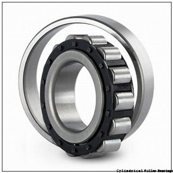 0.787 Inch | 20 Millimeter x 1.85 Inch | 47 Millimeter x 0.551 Inch | 14 Millimeter  CONSOLIDATED BEARING N-204E M  Cylindrical Roller Bearings #1 image